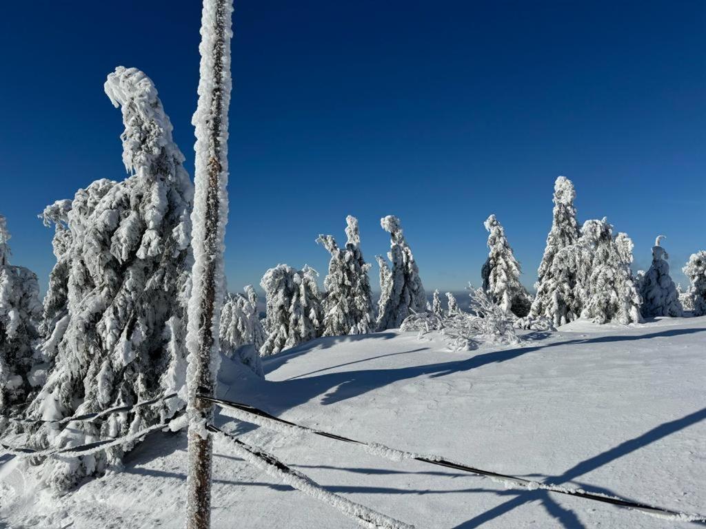 Apartmán ROKY 6 Rokytnice nad Jizerou Esterno foto