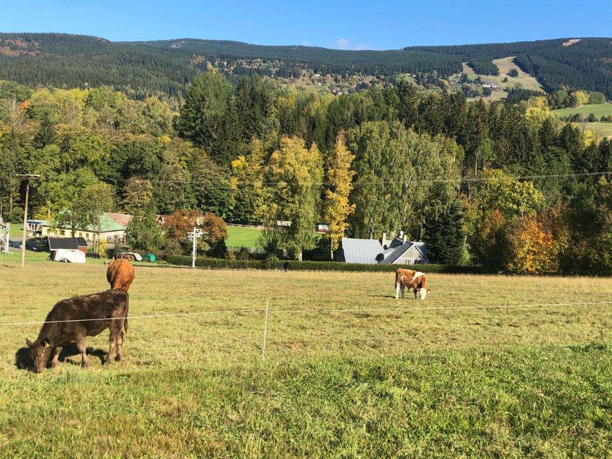 Apartmán ROKY 6 Rokytnice nad Jizerou Esterno foto