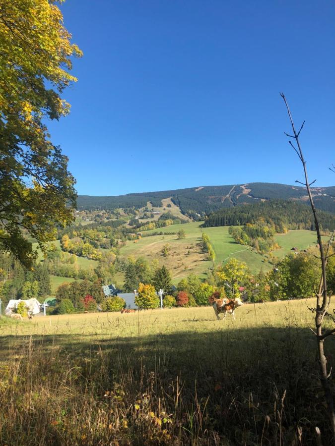 Apartmán ROKY 6 Rokytnice nad Jizerou Esterno foto